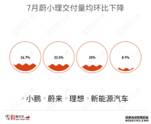 小鹏降价：一场饮鸩止渴的独角戏