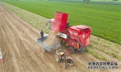 花生机收忙--经济·科技--人民网