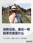 迪斯出局,大众汽车最后一根稻草究竟是什么