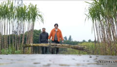 我,返乡创业,年销售千万农产品