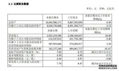 石头科技上半年营收29.23亿元同比增长24.49%