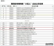 华浩德电子荣获国家级专精特新“小巨人”企业